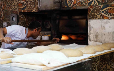 Konya Fırın İlaçlama